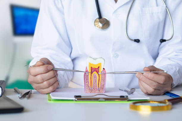Best Root Canal Emergency Dentist  in Mays Landing, NJ
